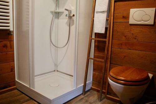 南达Gîte de Planchouet的浴室设有木制卫生间和淋浴