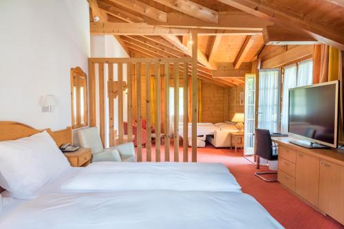 维尔德斯韦尔贝格霍夫酒店的一间卧室配有一张床和一台平面电视