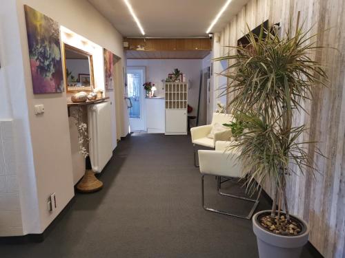 巴德斯特本Haus am Kurpark Hotel Garni的走廊里,房间里摆放着椅子和盆栽植物