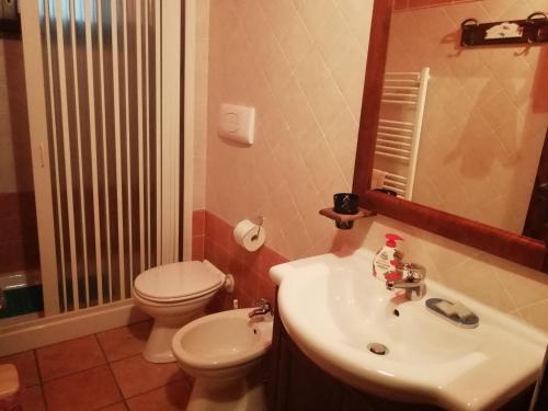 罗通达Le Chalet del Pollino的一间带水槽、卫生间和镜子的浴室