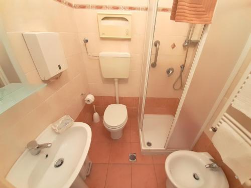 都灵Albergo in Centro的一间带卫生间和水槽的小浴室