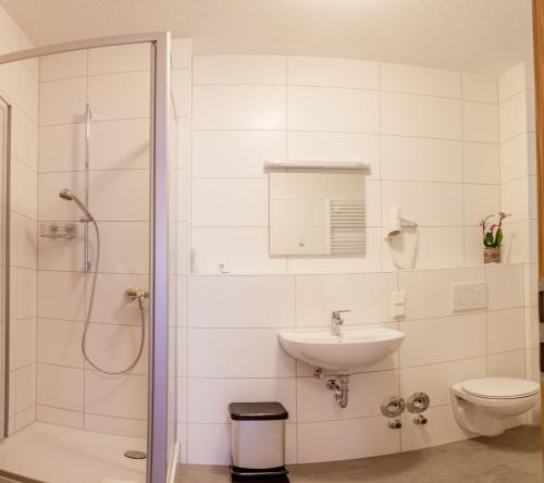 LaubachEulenNest的带淋浴、盥洗盆和卫生间的浴室