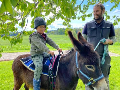 马特塞Wastlbauer的和男人一起坐在驴子上的小孩
