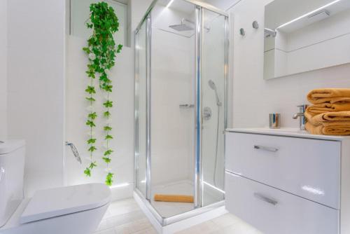 马赫安吉拉别墅的带淋浴和卫生间的白色浴室