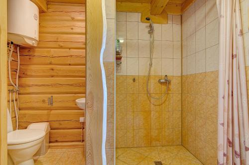 莫雷泰Sauna with the Private Lake Access的带淋浴和卫生间的浴室。