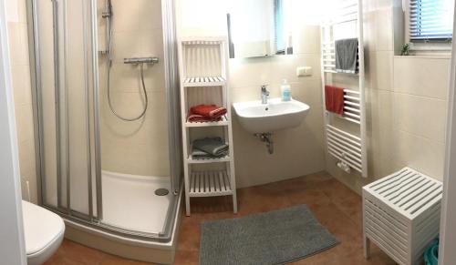 皮尔纳Haus Vogelgesang Pirna的带淋浴和盥洗盆的浴室