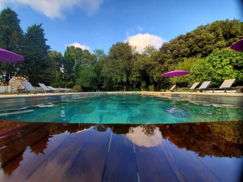 贝济耶德赖萨克城堡酒店的一个带紫色遮阳伞和椅子及树木的游泳池