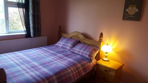 RochfortbridgePauleens Peaceful Place的一间卧室,配有一张床和床头灯