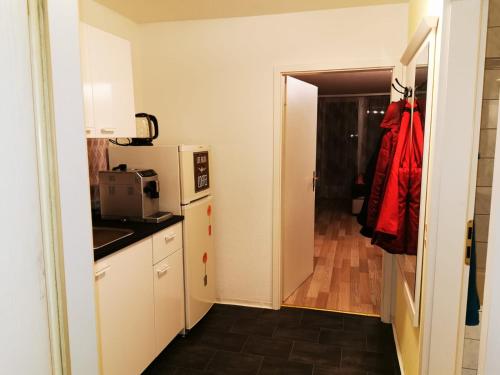 圣恩吉玛Ferienwohnung Reni的厨房配有白色冰箱和微波炉