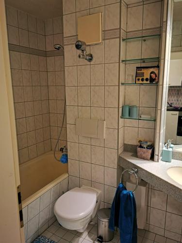 圣恩吉玛Ferienwohnung Reni的浴室配有卫生间、浴缸和水槽。