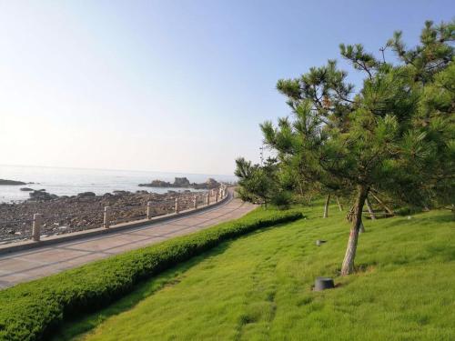 青岛7天优品青岛海洋世界海游路地铁站店的海边道路边的树