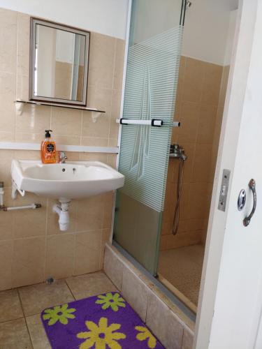 马埃堡奥博奇东方宾馆的一间带水槽和淋浴的浴室