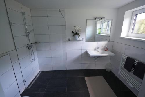 拉姆绍达赫斯坦Sinabell by Schladmingurlaub的白色的浴室设有水槽和淋浴。
