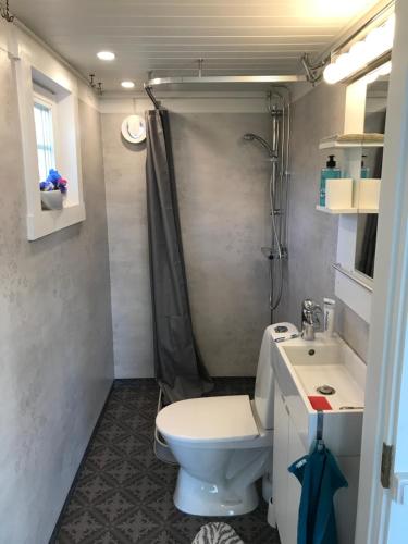 SmedjebackenLottas stuga的一间带卫生间和水槽的小浴室