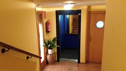 格劳斯Hostal Lopez的一条带蓝色门和盆栽的走廊
