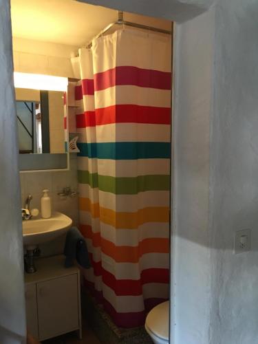 隆科索普拉阿斯科纳Casa Poiana的浴室设有色彩缤纷的浴帘和水槽
