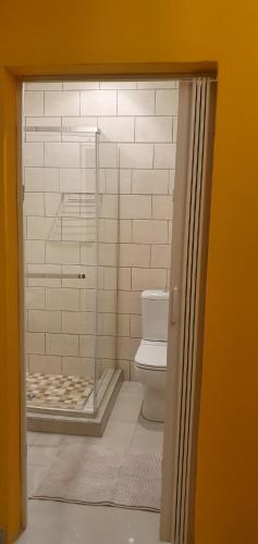 内尔斯普雷特TERTIUS LODGE的浴室配有淋浴和卫生间。