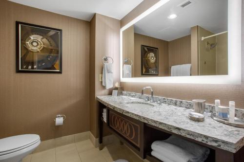 普罗维登斯普罗维登斯欧姆尼酒店的一间带水槽、卫生间和镜子的浴室