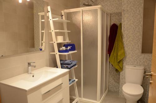 埃利松多Apartamentos Elizondo的一间带水槽、卫生间和淋浴的浴室