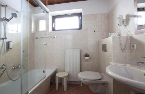 巴德哥依斯恩阿格特威特酒店的浴室配有卫生间、浴缸和水槽。