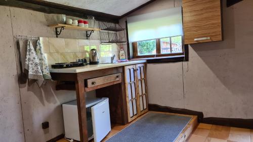米科瓦伊基Domek pod lasem的一个带柜台和水槽的小厨房