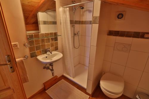 勒沙布勒玛瓦博木屋的带淋浴、卫生间和盥洗盆的浴室