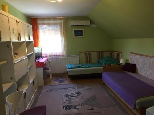沙罗什保陶克Katalin vendégház的小房间设有两张床和窗户