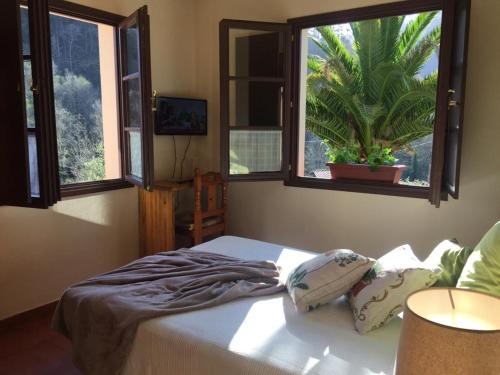 Santa EulaliaHotel peñacabrera 1的一间卧室配有一张带两个窗户的床