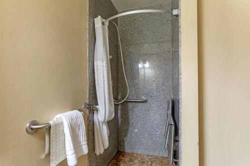 佩吉Comfort Inn & Suites Page at Lake Powell的带淋浴的浴室,带玻璃门