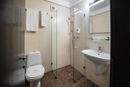 圣格奥尔基Hotel Park Sfantu Gheorghe的一间带卫生间和水槽的浴室