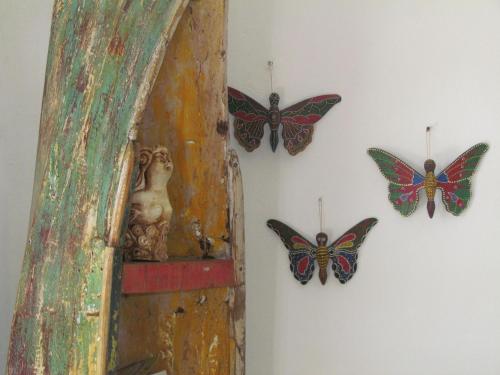科苏梅尔Casa del Solar Centro Cozumel - Wifi gratuito Fibra Óptica 200 Mbps的挂在墙上的一群蝴蝶