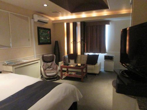 鹿儿岛ウォーターゲート鹿児島的一间酒店客房,配有一张床和一台电视