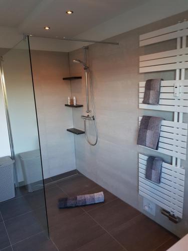 DierbachHaus Rebenblick的浴室里设有玻璃门淋浴