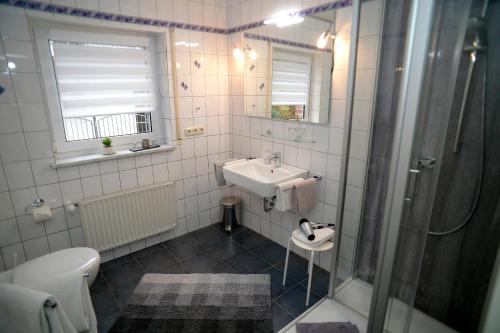 圣阿尔德贡德赛德维恩旅馆的一间带水槽、淋浴和卫生间的浴室