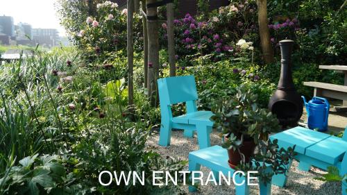 阿姆斯特丹Room With A Few的一张带蓝色椅子和灯饰入口的花园的图片