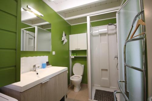 弗罗夏佩勒Journal aux Lacs-5pers的浴室设有绿色的墙壁、卫生间和淋浴。