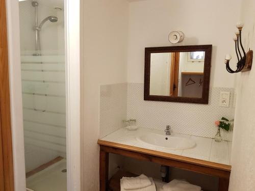 Broc罗贝德里斯旅馆的一间带水槽、镜子和淋浴的浴室