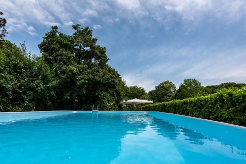 PernumiaCountry house pisani 120SQM的一个带遮阳伞的大型蓝色游泳池