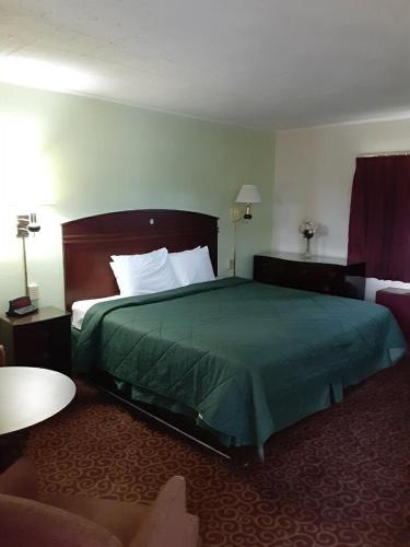 DuncansvilleWYE Motor Lodge Duncansville - Altoona的酒店客房,配有一张带绿床罩的床