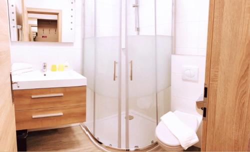 维辛Hotel Sonnhof的带淋浴、卫生间和盥洗盆的浴室