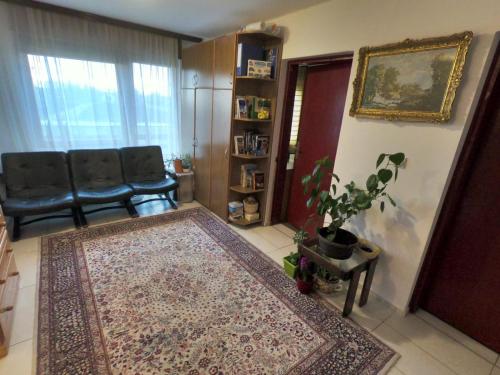 诺维萨德Moj salaš的带沙发和地毯的客厅