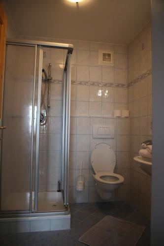 弗拉绍奥巴摩萨之家公寓的带淋浴、卫生间和盥洗盆的浴室