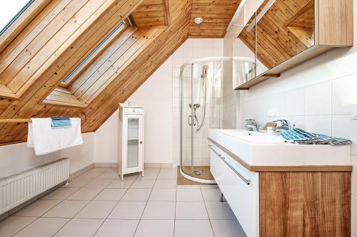 特洛普拉赫Haus Herzog的一间带水槽和淋浴的浴室