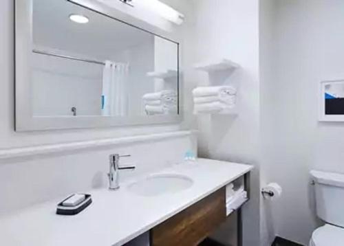 WabashHampton Inn by Hilton Wabash的白色的浴室设有水槽和镜子
