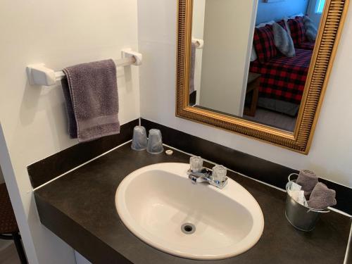 魁北克市吉法德汽车旅馆的一间带水槽和镜子的浴室