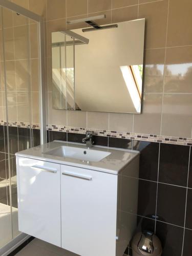阿夫朗什Le Nid du Franc的浴室设有白色水槽和镜子
