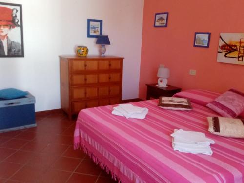 斯特龙博利Agriturismo SoleMare的一间卧室配有粉红色的床和毛巾