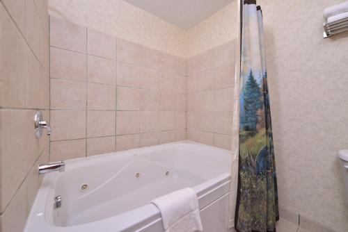 米切尔Kelly Inn and Suites Mitchell的带淋浴的浴室配有白色浴缸。