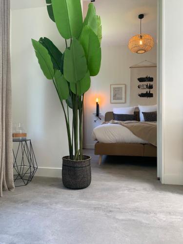 乌得勒支Utrecht City Apartments - Maliesingel的卧室配有盆栽和床