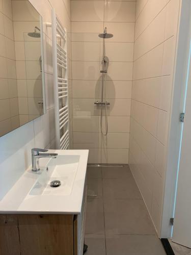 乌得勒支Utrecht City Apartments - Maliesingel的一间带水槽和淋浴的浴室
